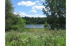 Property photo 74 - REAL ESTATE AUCTION, 163+/- Acres offered in 8 Tracts